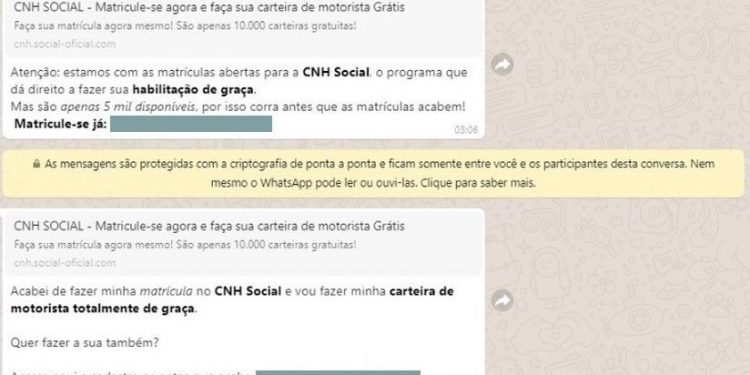 Criminosos usam busca por CNH popular para aplicar golpes no Ceará, alerta Detran