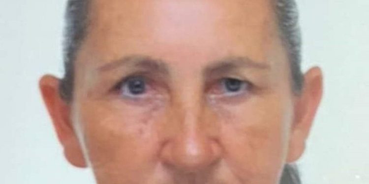 Ana Aparecida Gonçalves morreu após tentar separar briga entre filhos e ser esfaqueada por um deles em Campestre (MG) (Foto: Redes Sociais)