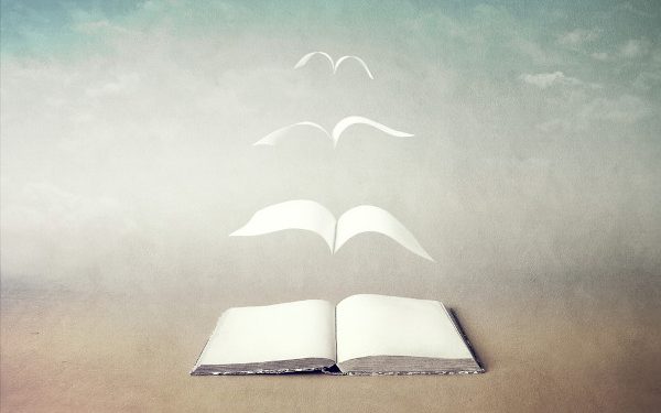 No meio do caminho tem tanta coisa, inclusive poesia – Por Alexandre Lucas