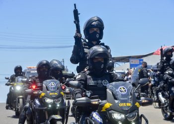 (Foto: Marcos Studart/Governo do Ceará)