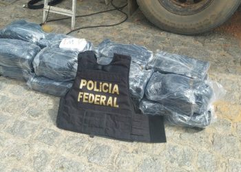 Quase 170 quilos de cocaína foram encontrados no fundo falso do caminhão (Foto: Divulgação/PF)