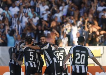 Botafogo venceu Operário, de virada, e está de volta à Série A do Brasileirão (Foto: Divulgação)