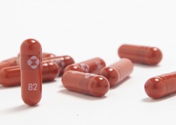 (Foto: Divulgação)