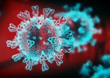 Neste momento, os cientistas sul-africanos não têm certeza da eficácia das vacinas anticovid existentes contra a nova forma do vírus