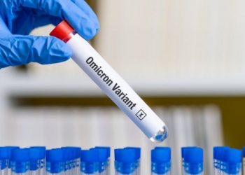 OMS mantém características da variante ômicron para a recombinação XE (Foto: Getty Images)