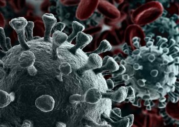 Representação do novo coronavírus (Foto: Reprodução)