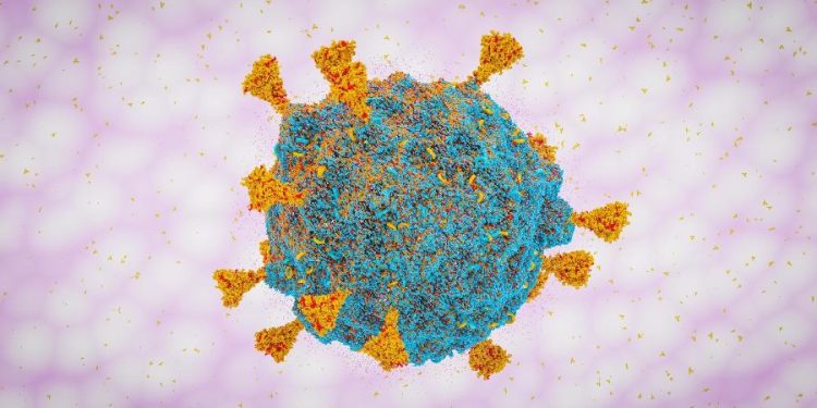 Apesar de mutações, ômicron provocou sintomas leves até agora; entenda