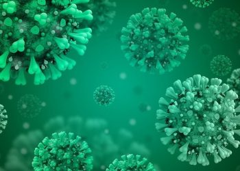 OMS: variante ômicron representa risco global “muito alto”