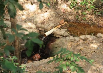 De área densa e úmida, no Riacho do Meio há três nascentes que em seu trajeto formam bicas (Foto: Antonio Rodrigues)