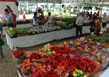 (Foto: Divulgação)