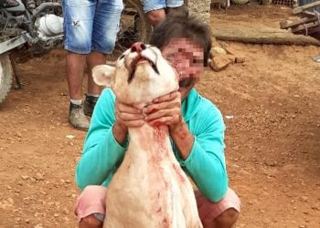 A polícia foi acionada após uma denúncia anônima a membros da ONG Biodiverse, de Crato (Foto: Reprodução)