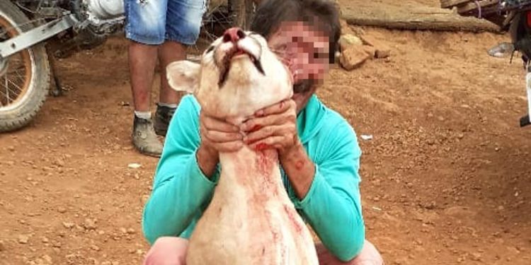 Caçadores que abateram onça em Tarrafas são identificados e denunciados