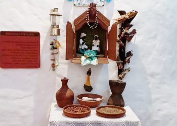 (Foto: Divulgação/ONG Beatos)