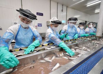 (Foto: Carlos Gibaja/Governo do Ceará)