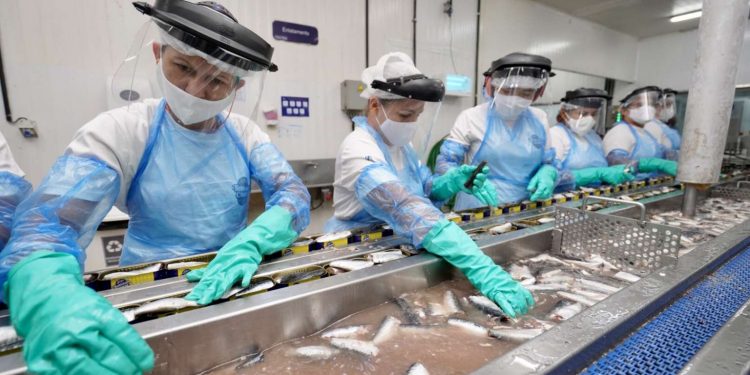 Economia do Ceará fecha terceiro trimestre com avanço de 4,78%, diz Camilo