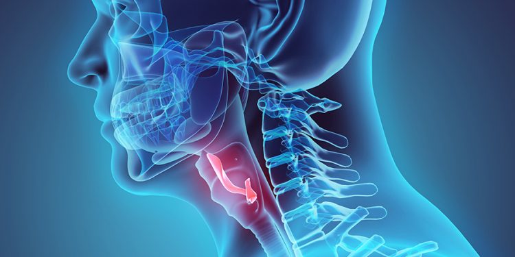 (Foto: Getty Images/iStockphoto)