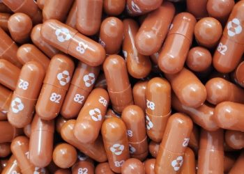 (Foto: Jim Reed/BBC)