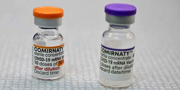 Consulta pública do Ministério da Saúde inclui perguntas que reforçam posição contra a vacinação de crianças