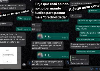 Homem dá contragolpe em criminoso pelo WhatsApp: ‘Disse que ia ajudar’