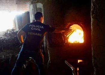 (Foto: Divulgação/SSPDS)