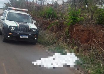 Suspeito do crime ainda não foi localizados pela polícia (Foto: Reprodução)