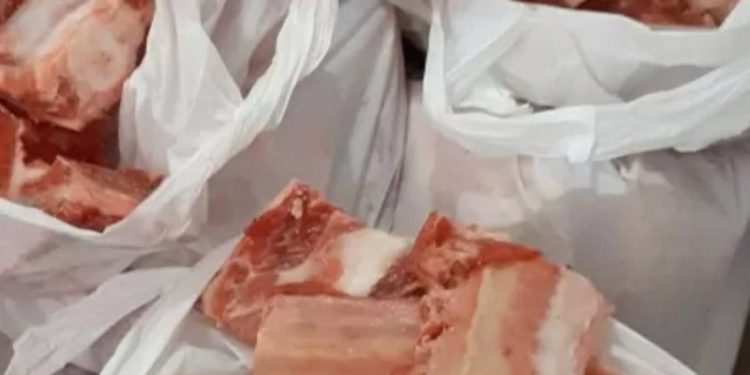 Auxílio Brasil: veto de Bolsonaro deixa 17 milhões de famílias de fora do benefício