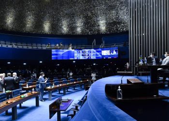 Plenário do Senado Federal durante sessão deliberativa ordinária semipresencial (Foto: Waldemir Barreto/Agência Senado)