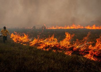 Com desmatamento em alta, Bolsonaro veta R$ 17 milhões para combate a incêndios florestais