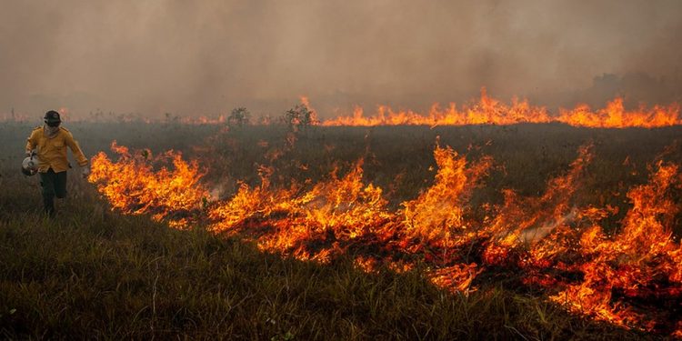 Com desmatamento em alta, Bolsonaro veta R$ 17 milhões para combate a incêndios florestais