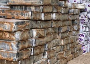 (Foto: Divulgação/SSPDS)