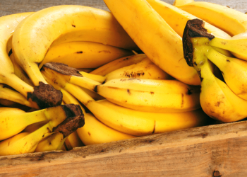 (Foto: Shutterstock)