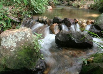 Justiça anula lei que aprovava construção de casas em Áreas de Proteção Ambiental do Crato