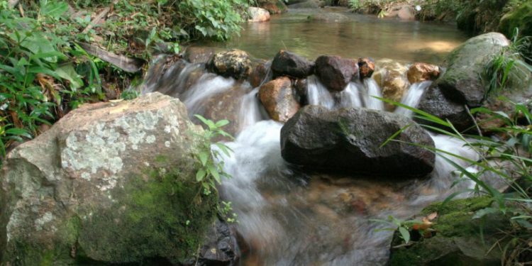 Justiça anula lei que aprovava construção de casas em Áreas de Proteção Ambiental do Crato