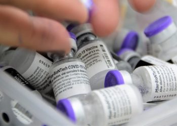 (Foto: Carla Cleto/ Sesau)