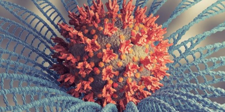 Brasil tem primeira morte confirmada pela variante ômicron do coronavírus