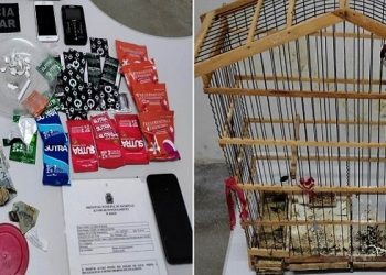 (Foto: Divulgação/PMCE)