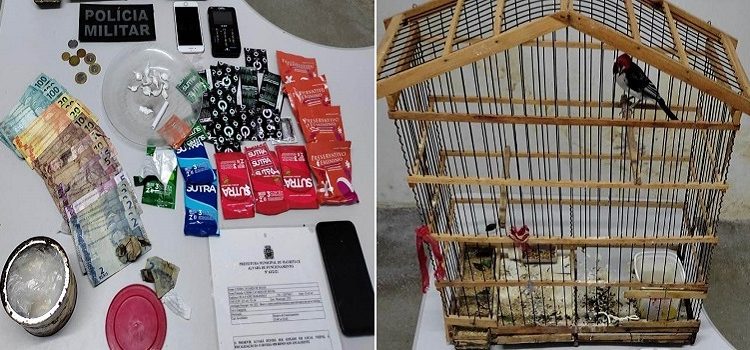 Dona de bar é presa por suspeita de tráfico de drogas e crime ambiental em Mauriti