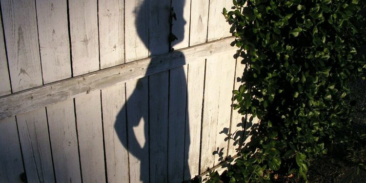 Desaparecida – Por Alexandre Lucas