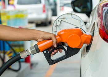 (Foto: Shutterstock)