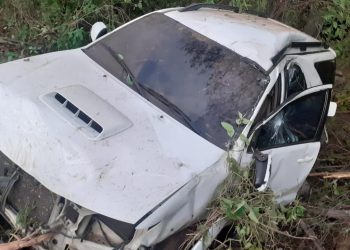 Veículo saiu da pista após o motorista perder o controle da direção (Foto: Reprodução)