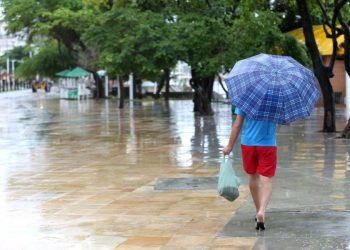 (Foto: Fabiane de Paula)