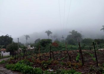 (Foto: Samuel Pinheiro/Revista Cariri)