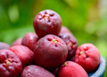 (Foto: Shutterstock)