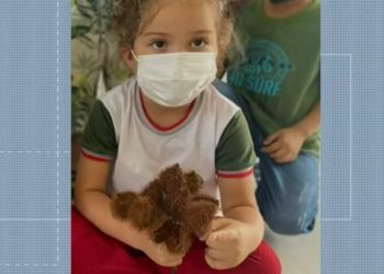 Criança brincava perto da árvore que caiu na zona rural de Ubajara, interior do Ceará (Foto: Reprodução)