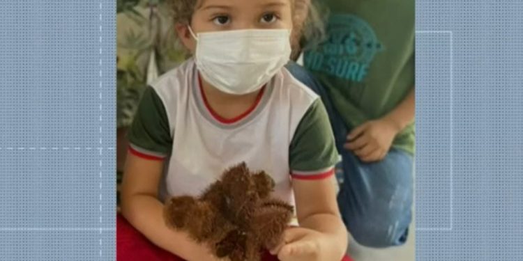 Criança brincava perto da árvore que caiu na zona rural de Ubajara, interior do Ceará (Foto: Reprodução)