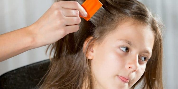 Como acabar com os piolhos de forma simples