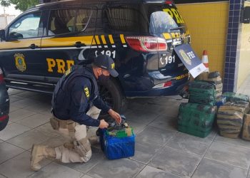 (Foto: Divulgação/PRF)