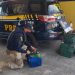 PRF apreende 400 kg de maconha escondidos em carro após perseguição de 23 km na BR-116, em Russas