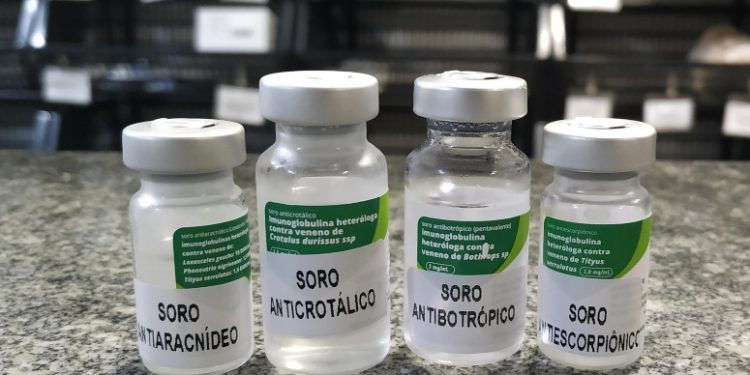 Hospital Regional do Cariri atende vítimas de picadas e mordidas de animais peçonhentos