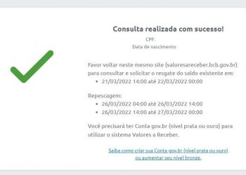 Sistema não mostra valor a receber e, por isso, será preciso fazer nova consulta (Foto: Reprodução)